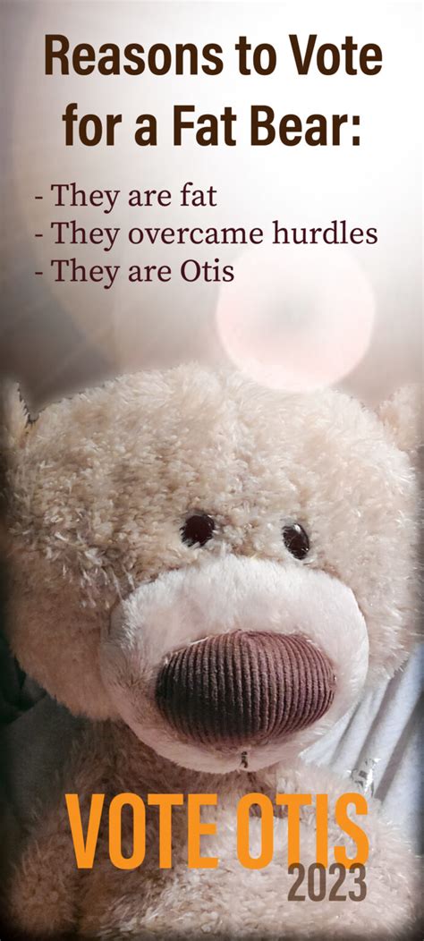 otis the bear 2023|otis the king.